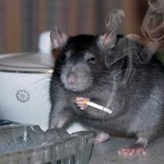 ArtKach